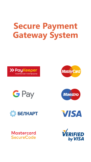 Secure payment gateway system
